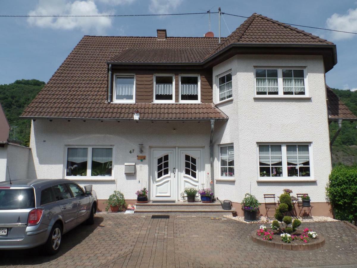 Ferienwohnung Erz Burgen  Bagian luar foto